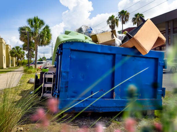 Yard Cleanup Services in Fayette, MS